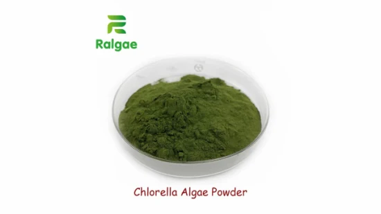 Порошок хлореллы, добавка к натуральным водорослям кормового качества
