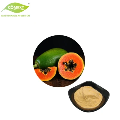 Comext поставляет бесплатный образец натурального экстракта папайи, ферментного порошка папаина